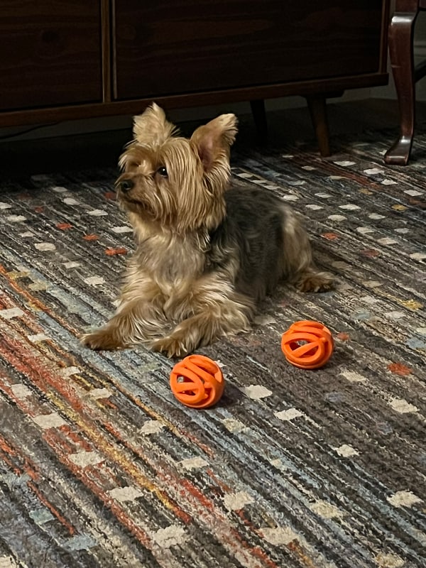 Building Photo - 100 Palm Harbor Pkwy