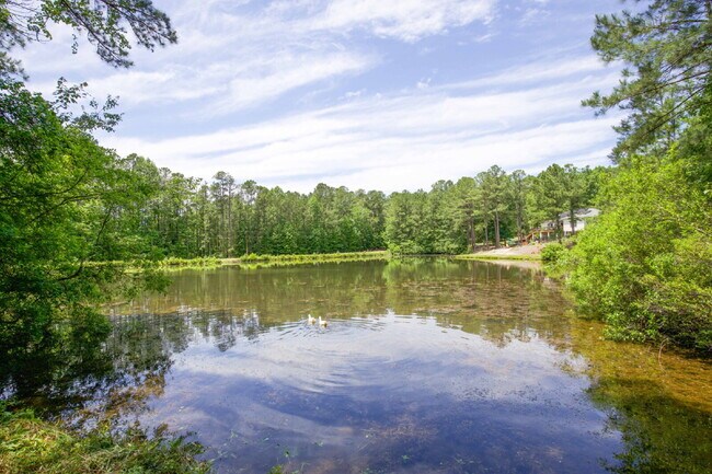 Building Photo - 806 Sumac Ln
