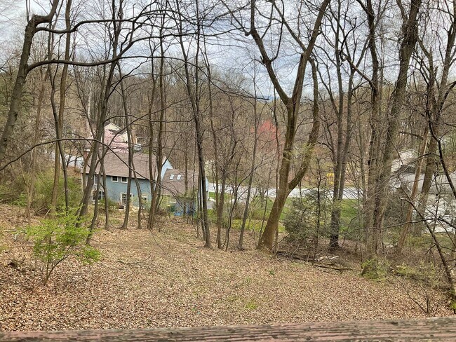 Building Photo - 1541 Woodhaven Dr