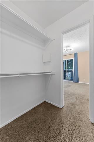 Building Photo - 4859 Cedar Springs Rd