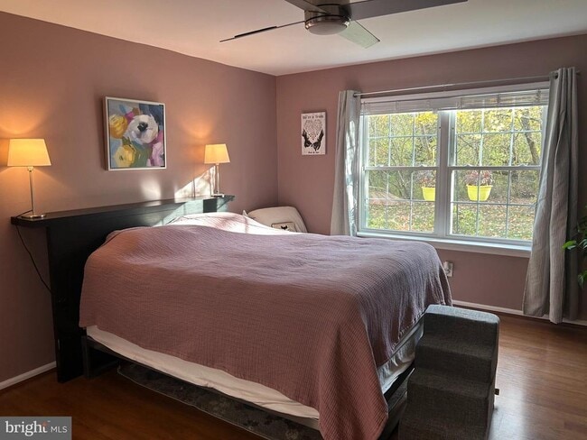 Building Photo - 13 Quince Ct