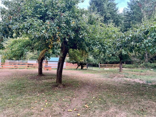 Building Photo - PENDING APPLICATION; Updated 1920 Farmhous...
