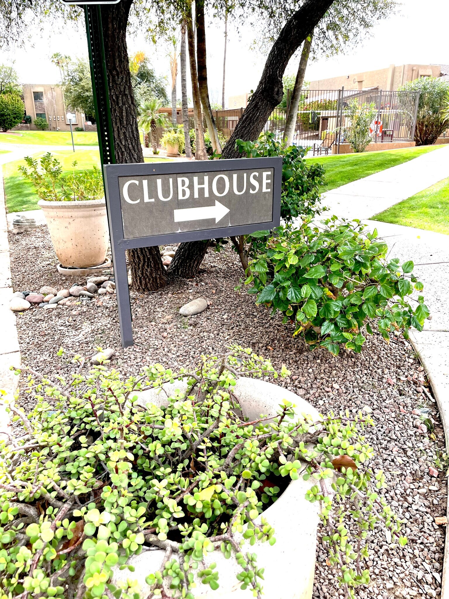 Building Photo - 3825 E Camelback Rd