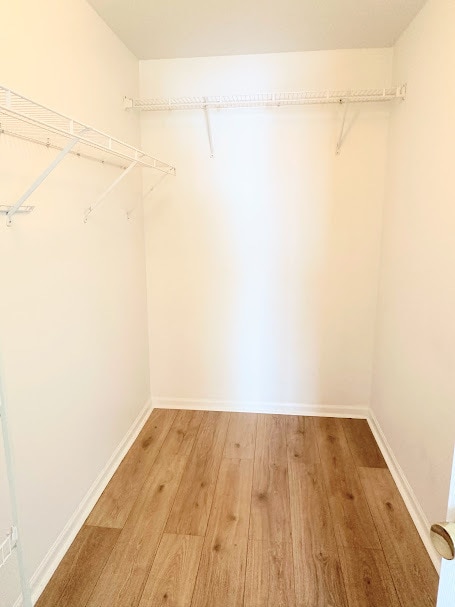 Building Photo - 138 Bertram Dr