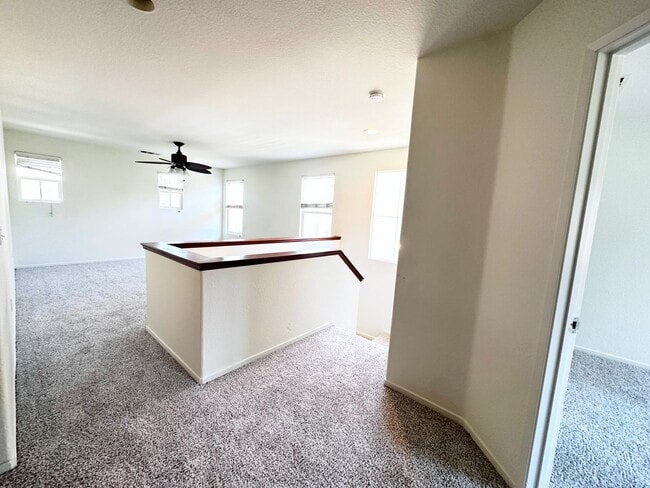 Building Photo - 4 bedroom home. New Carpet!
