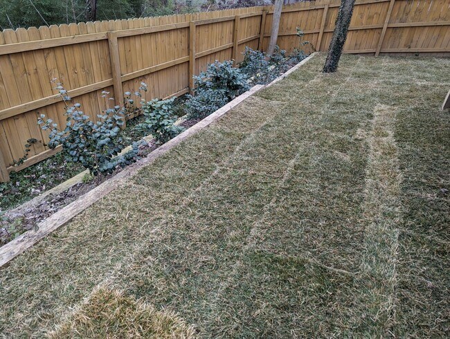 Building Photo - Available Now! Gorgeous 3 bedroom home close to downtown Durham!