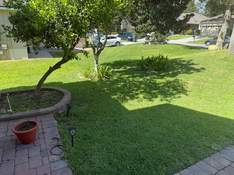 green lawn and private street - 871 Cool Springs Cir