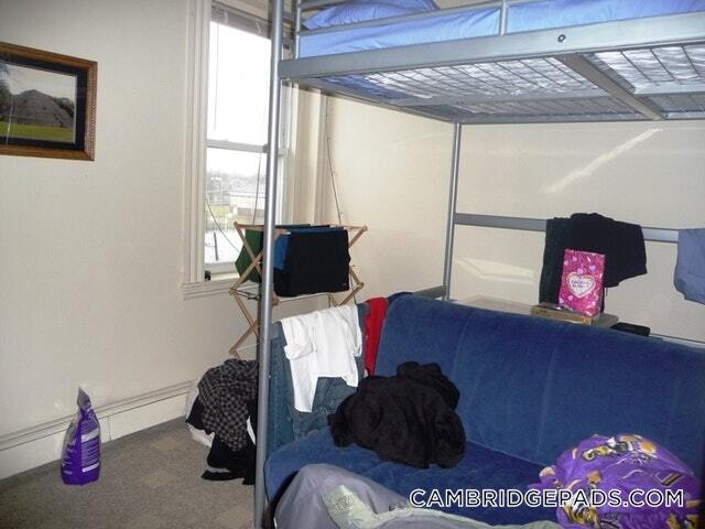 Building Photo - 124 Berkshire St