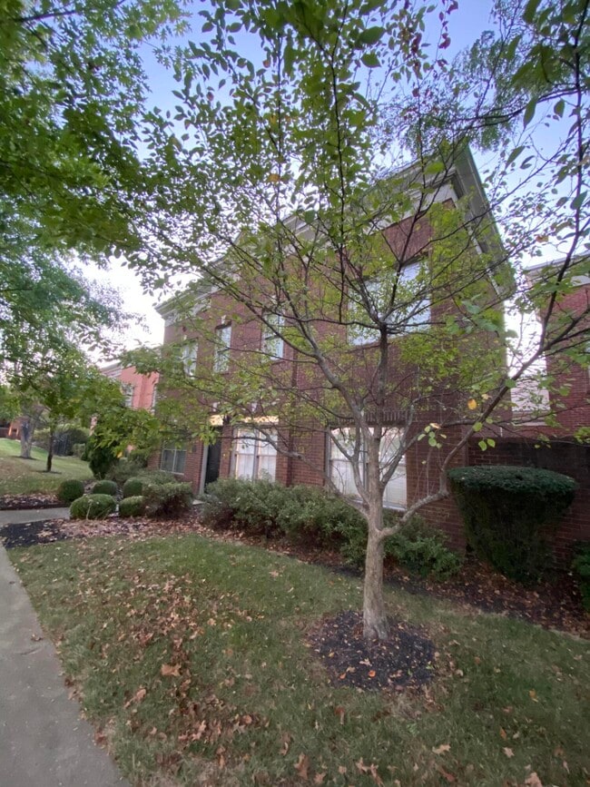 Building Photo - 1009 Star Shoot Pkwy