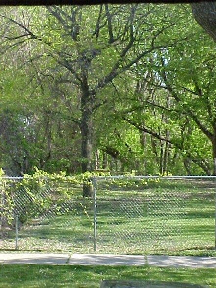 through to your kitchen window - 1302 N 58th St
