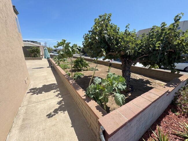 Building Photo - POINT LOMA HOME 4br-2.0 baths located on l...