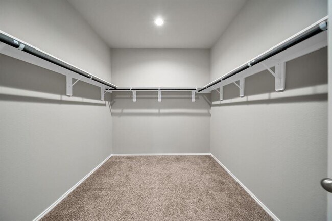 Building Photo - 22614 Petrizzi Ln