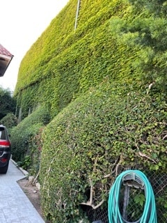 Building Photo - 11370 W Sunset Blvd