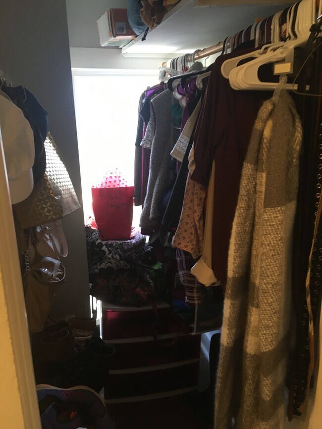 Building Photo - 231 Jones St