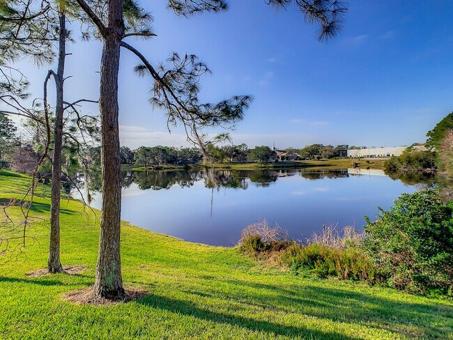 Building Photo - Beautiful 1 Bed/ 1 Bath Condo For Rent at ...