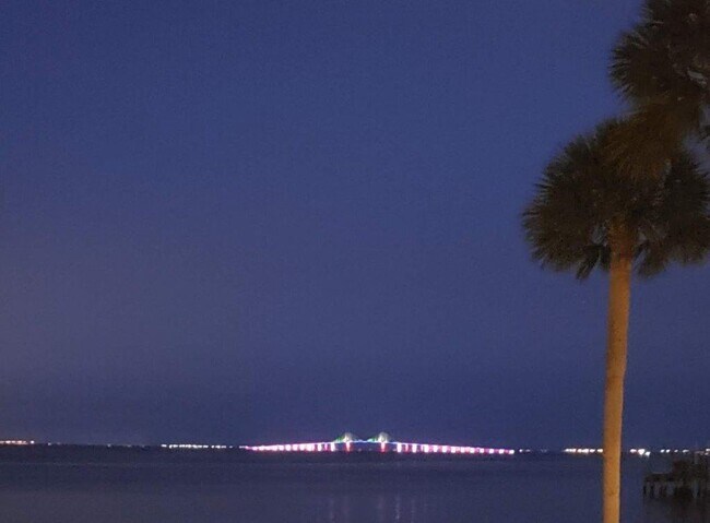 Building Photo - 650 Pinellas Point Dr S