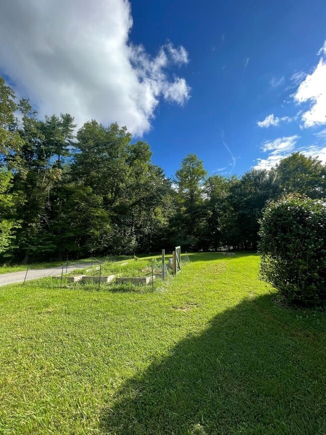 Building Photo - Quaint Country Cottage On Large Lot Near Downtown Blacksburg