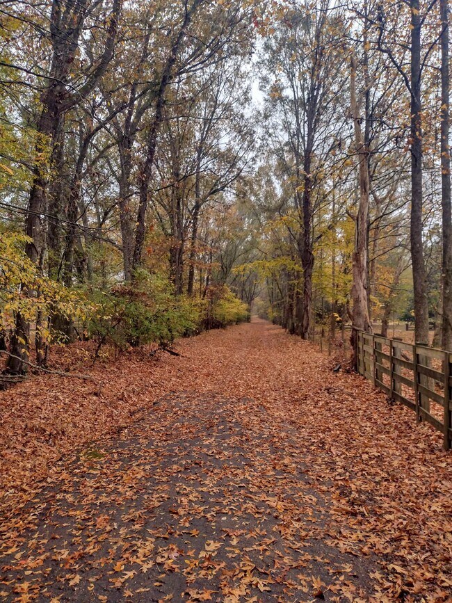 Building Photo - 439 Barbara Ln