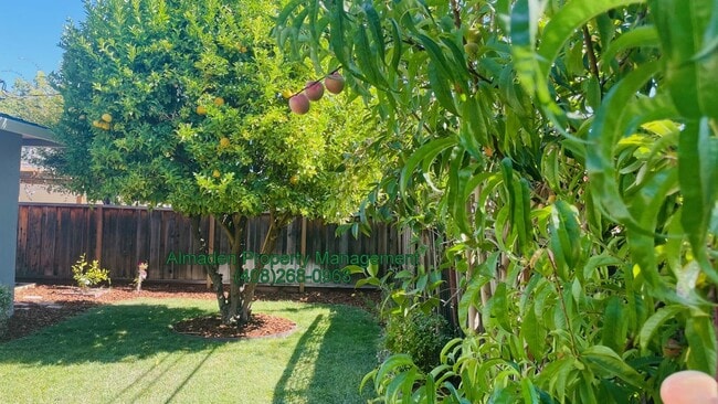 Building Photo - Remodeled Home in Great Location w/ Award Winning Schools & Central A/C!! Pets Negotiable!