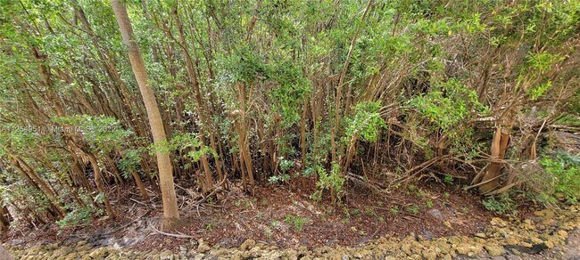 Building Photo - 400 Scotia Dr