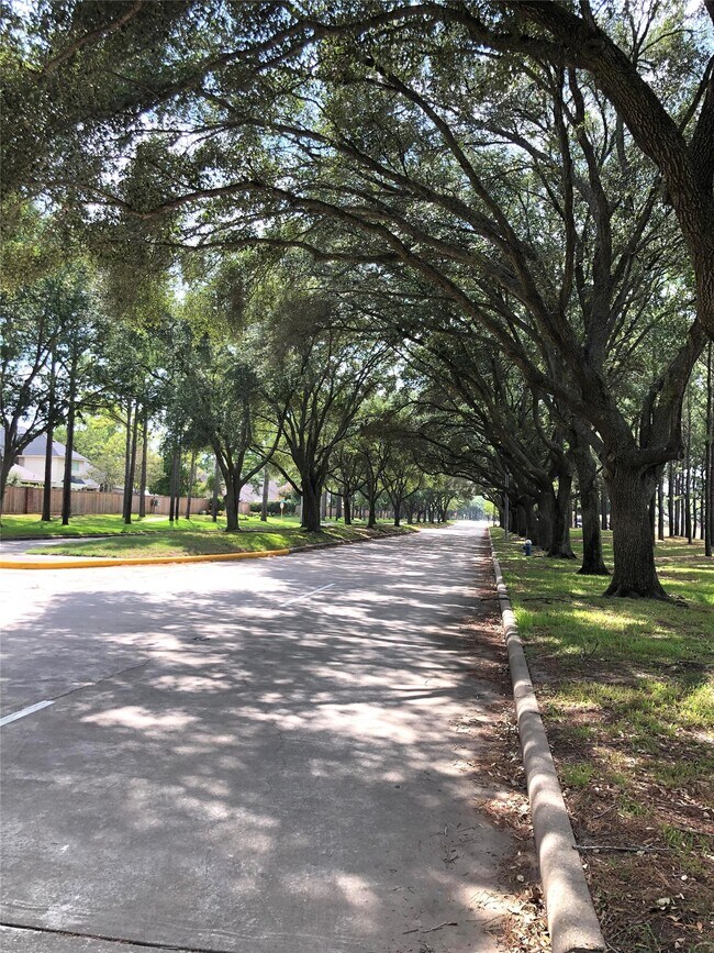 Building Photo - 18126 Somerset Knolls Ct