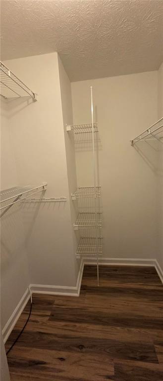 Building Photo - 3024 Jester Ct