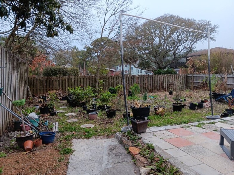 backyard/garden - 203 C St