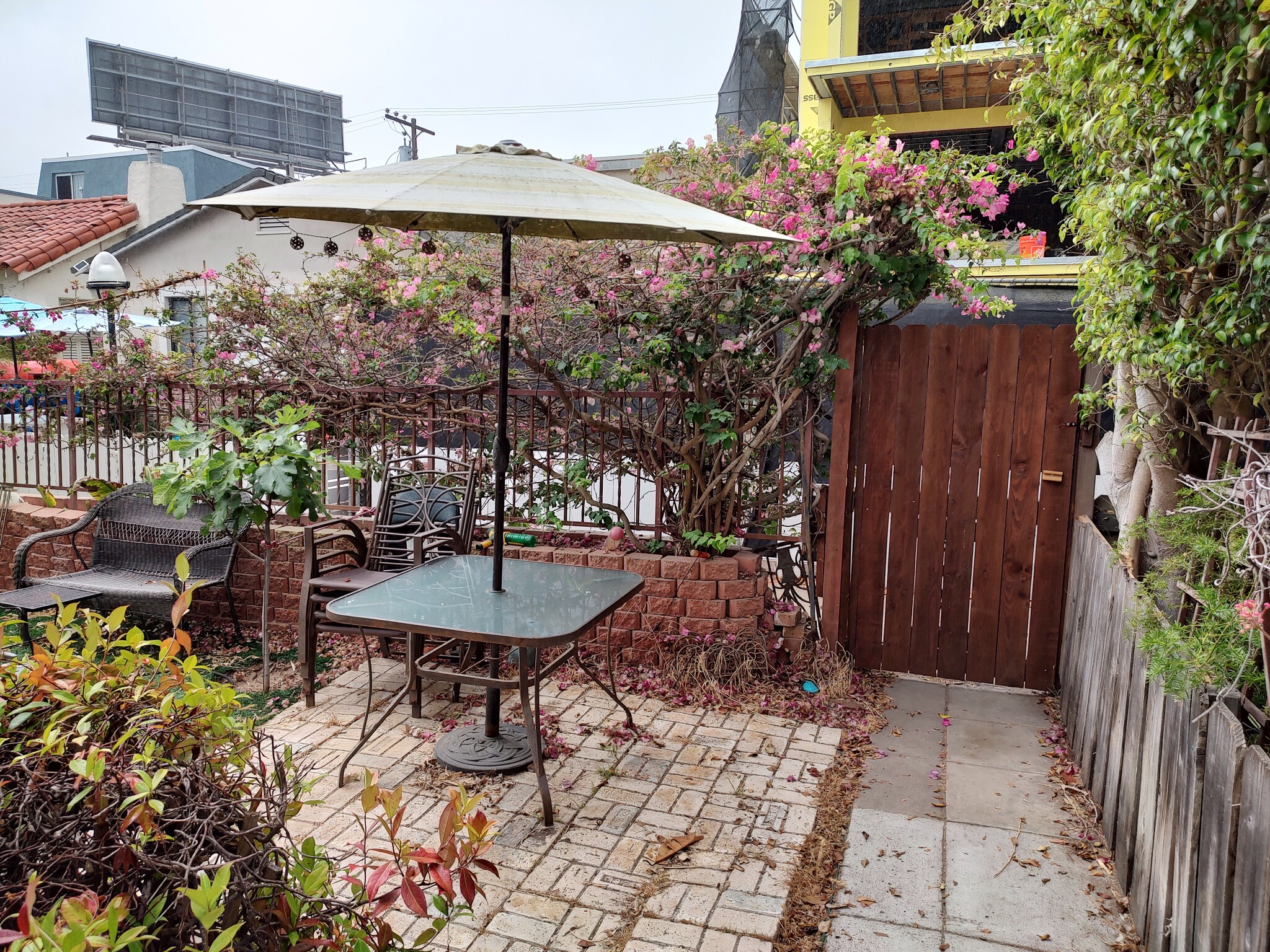 Beautiful front yard garden setting - 830 Island Ct