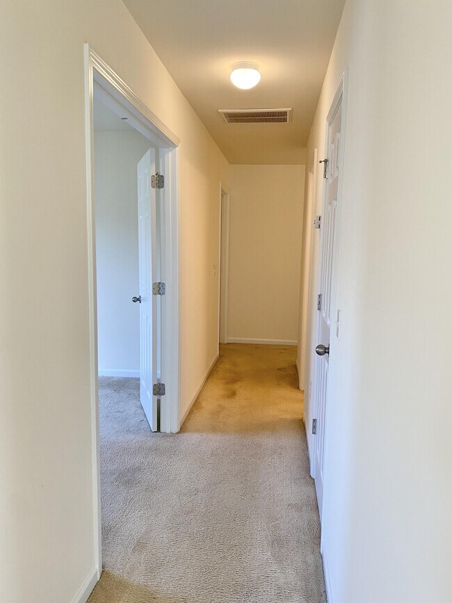 Building Photo - 19 Saluda Way