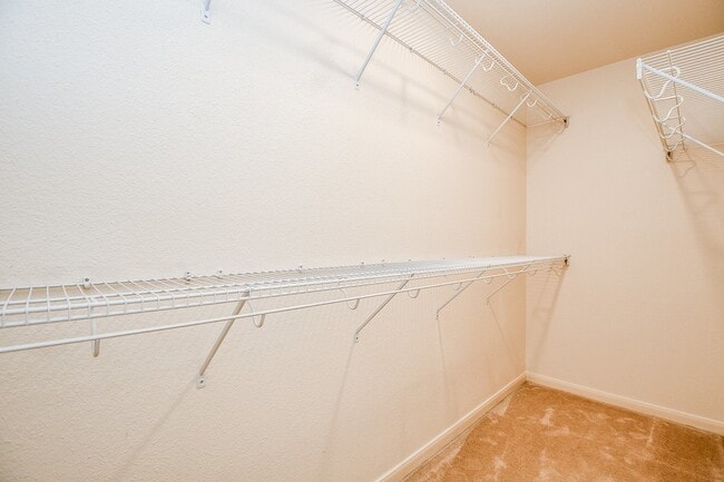 Building Photo - 1905 Creek Run Dr