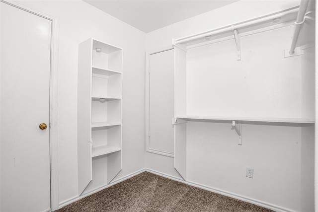 Building Photo - 1317 Carver Ln