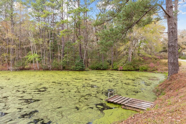 Building Photo - Gorgeous Furnished Estate on the Ashley River