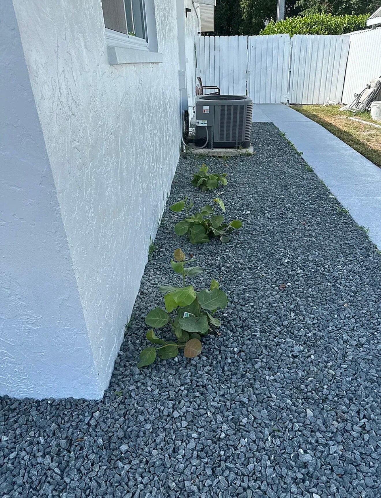 Building Photo - 1097 Highlands Dr