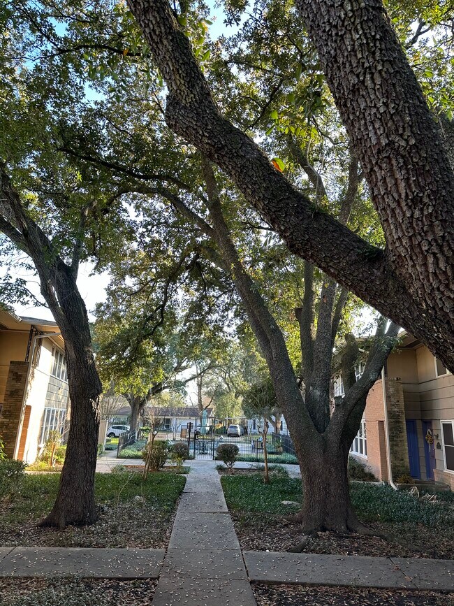 Building Photo - 4020 Blue Bonnet Blvd