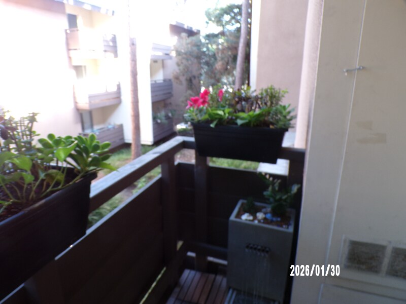 Building Photo - 1621 Hotel Cir S