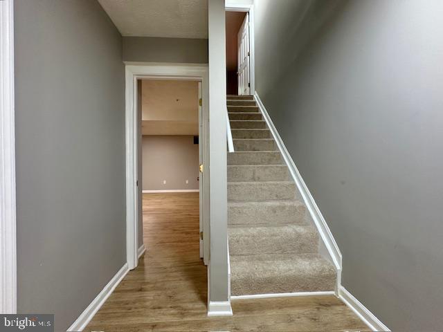 Building Photo - 20527 Lowfield Dr