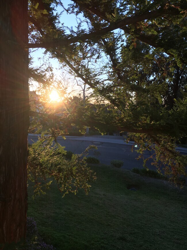 Sunrise view - 15606 Hillview Ln