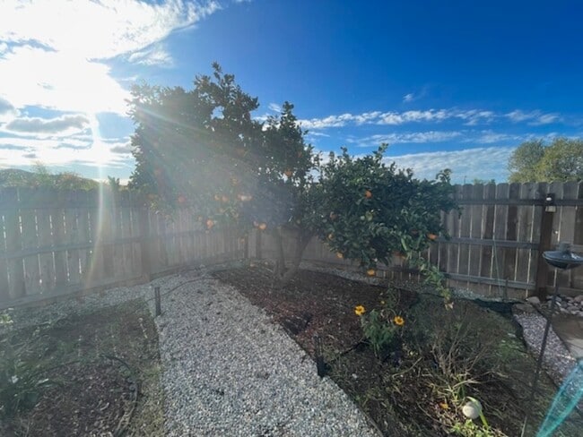 Building Photo - 160 Calle Querido