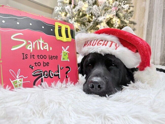 Building Photo - Good news! Making Santa's good list means free application fees until Friday!