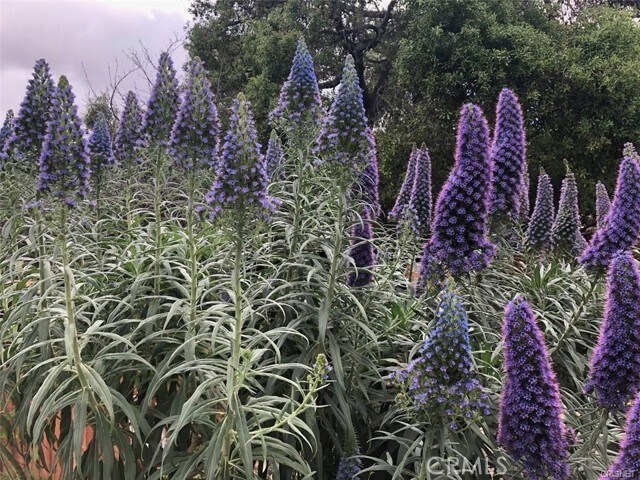 Building Photo - 456 S Skyline Dr