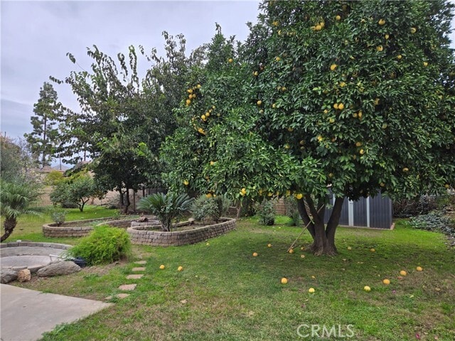 Building Photo - 955 Le Conte Dr