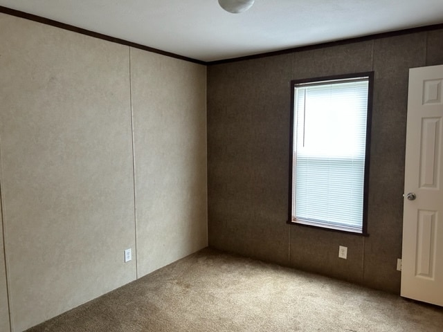 Building Photo - 509 Pettycoat Ln