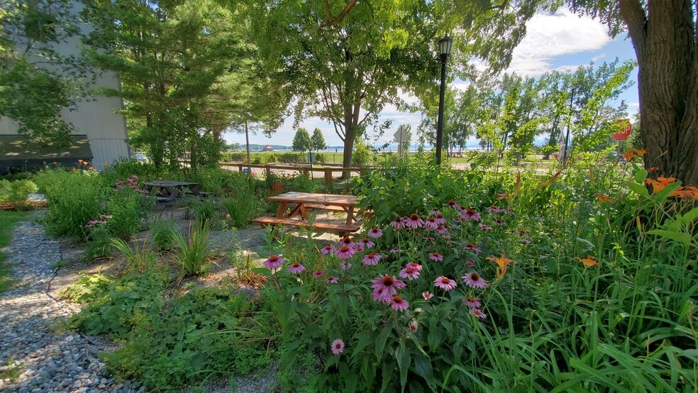 Private Rain Garden Picnic Area - 216 Lake St