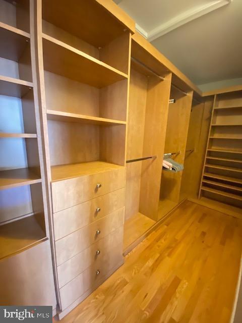 Building Photo - 8118 Madrillon Springs Ln