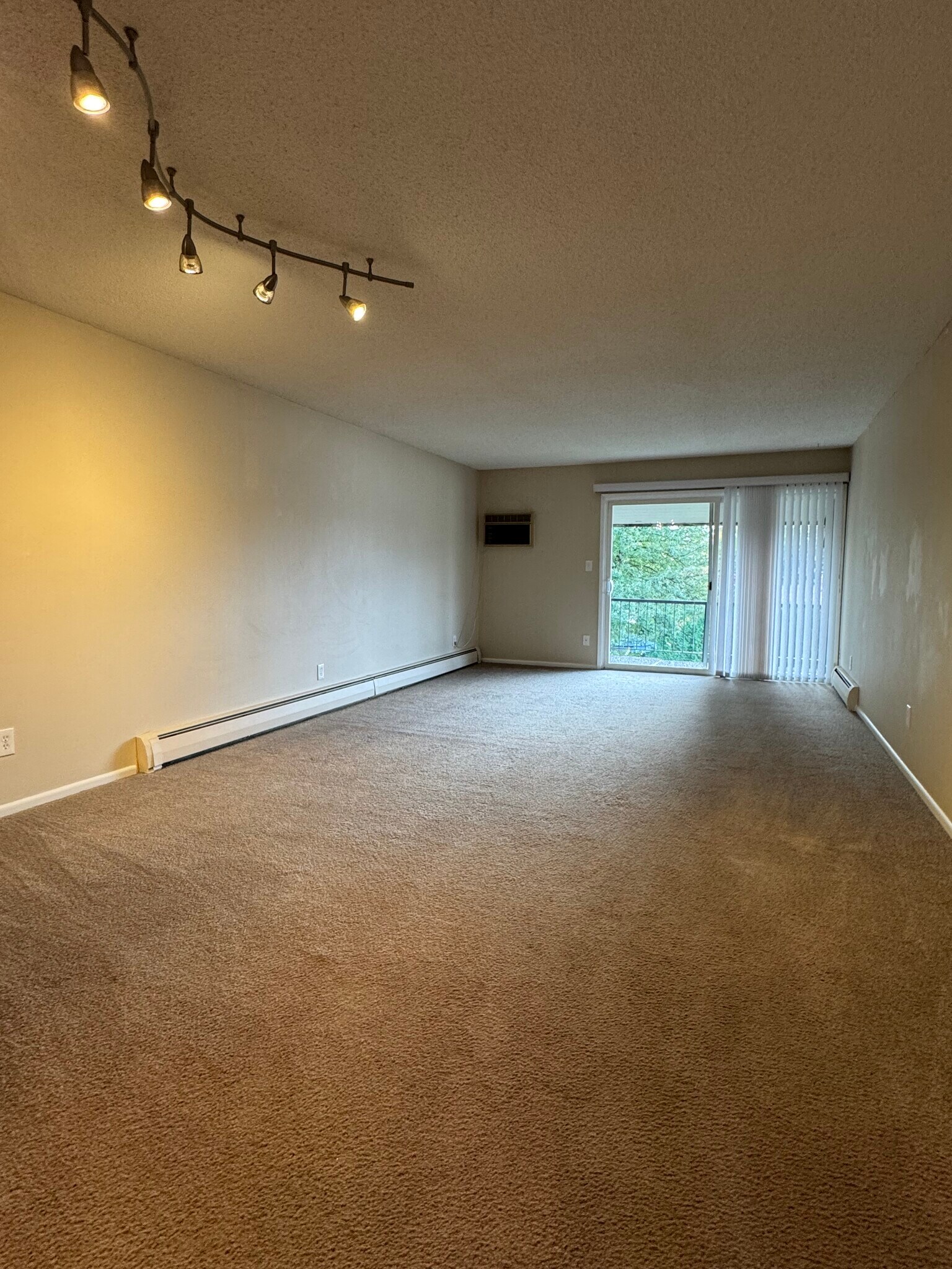 Living room - 2921 E 32nd Ave