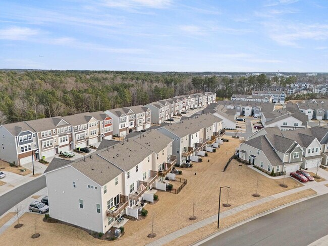 Building Photo - 1010 Falling Rock Pl