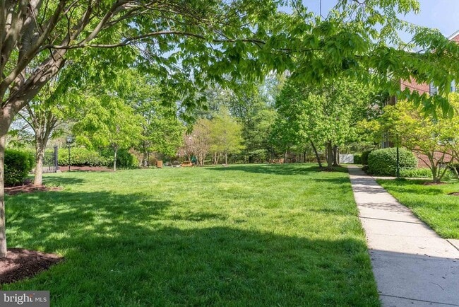 Building Photo - 6620 Potomac Ave