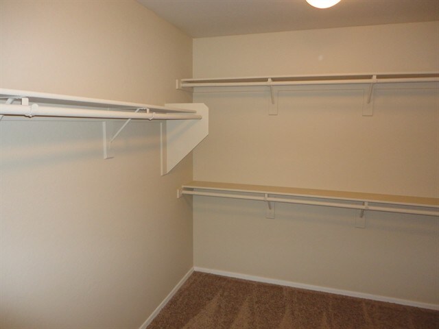 Building Photo - 3927 S Napa Ln