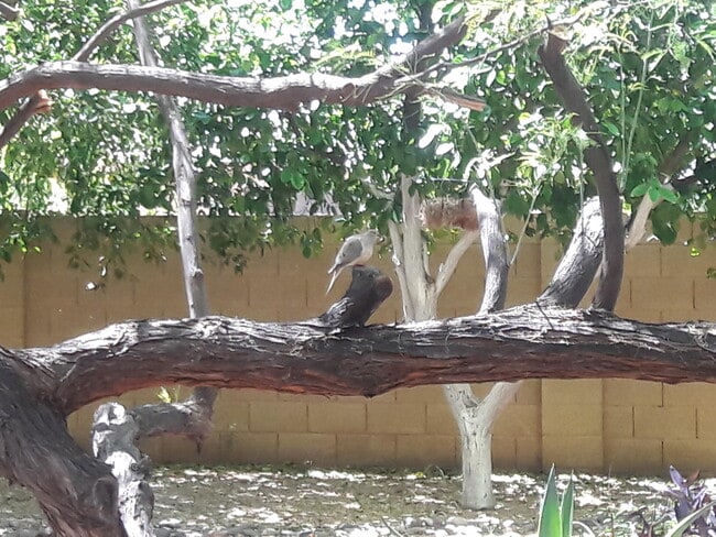 Building Photo - 15852 N 50th St