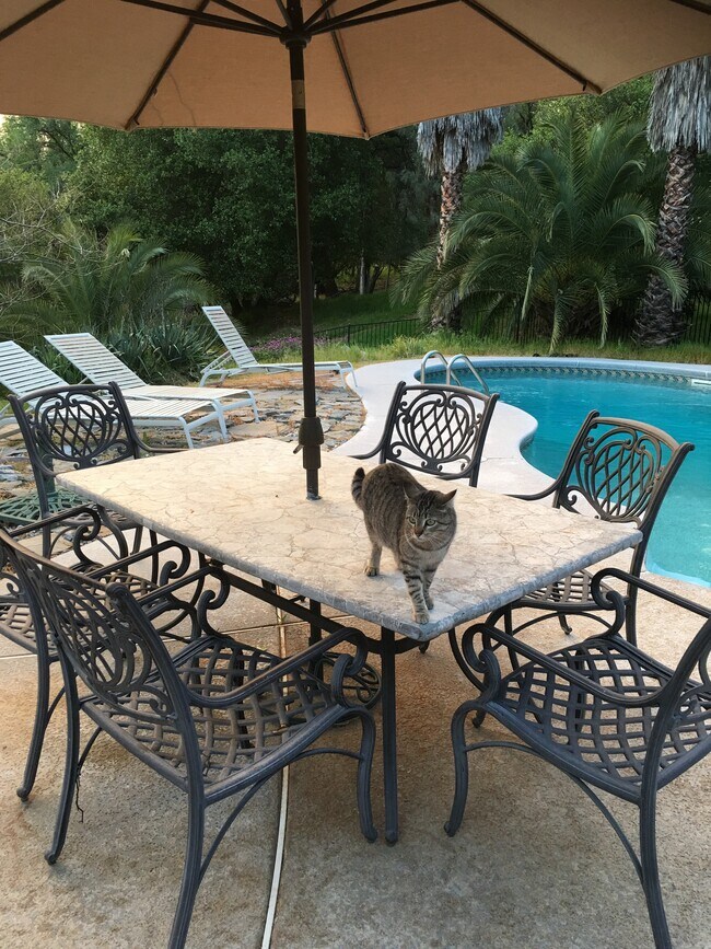 Building Photo - 6115 Placer Rd